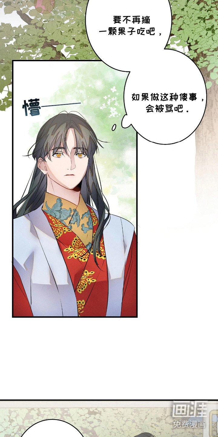 第14章：灵魂的形态