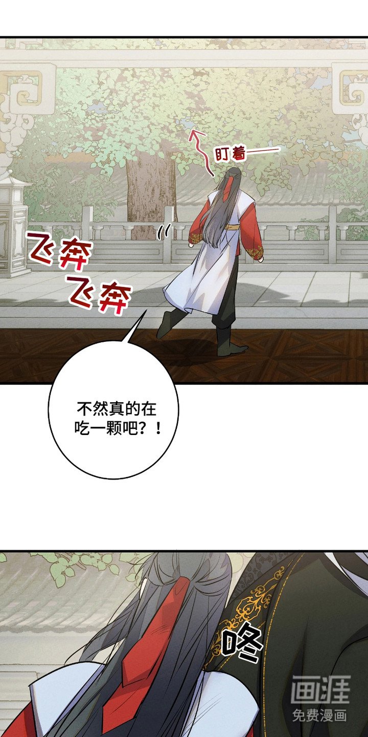 第14章：灵魂的形态