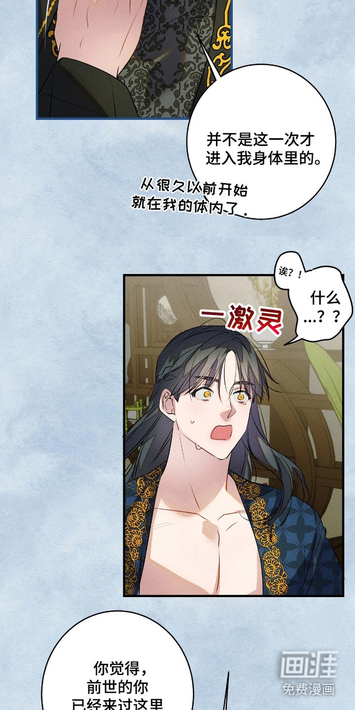 第14章：灵魂的形态