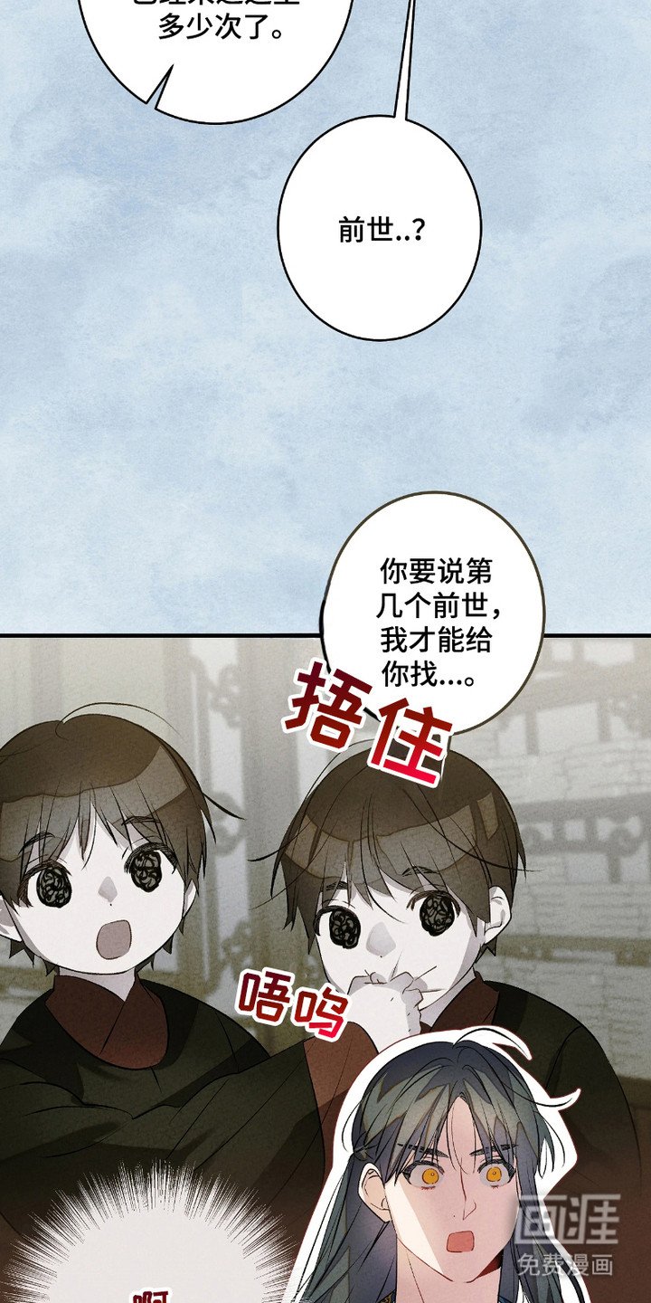 第14章：灵魂的形态