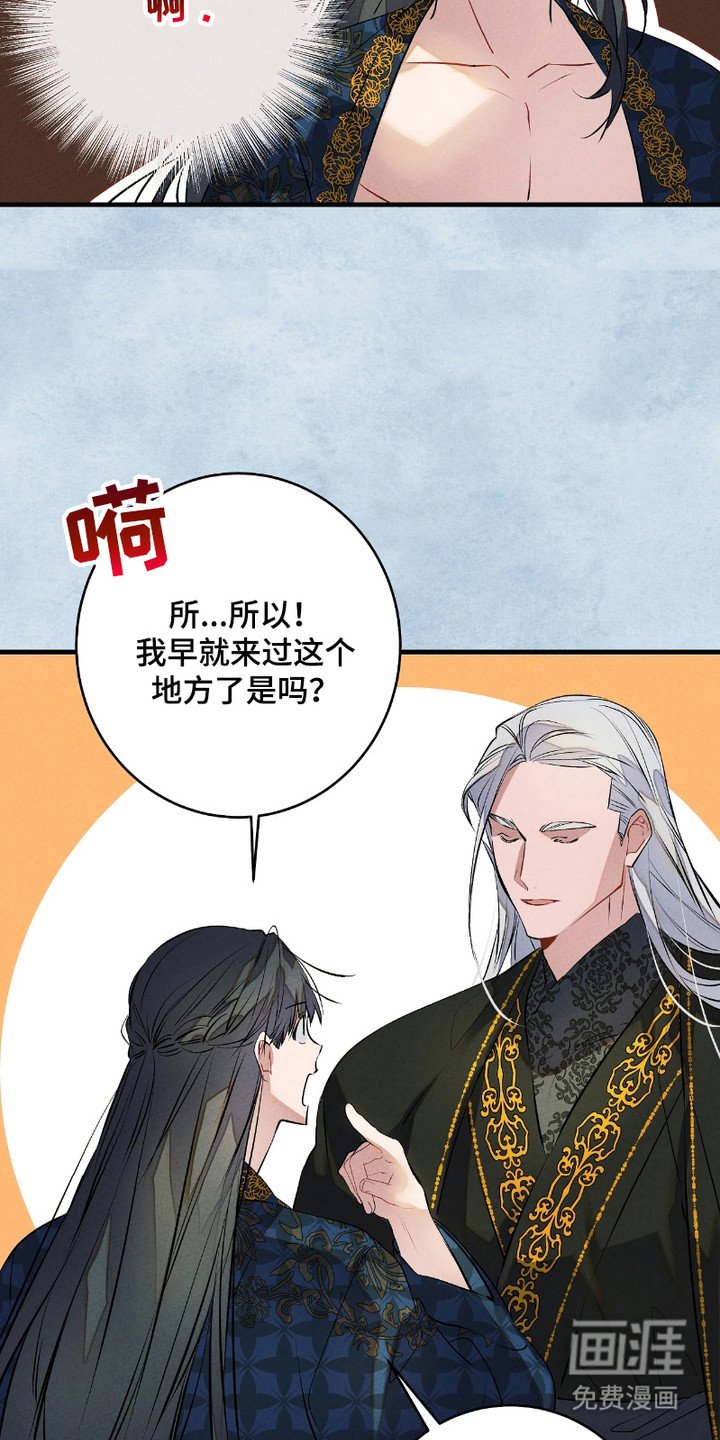第14章：灵魂的形态