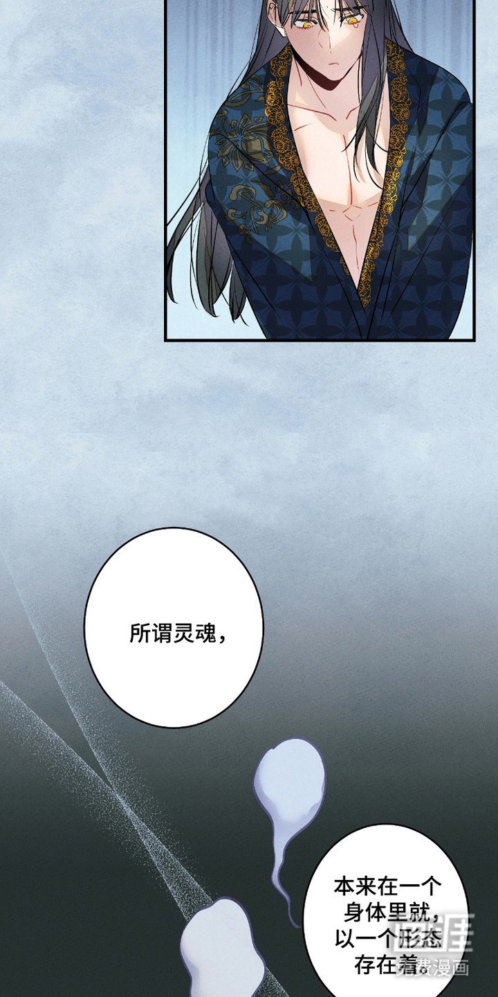 第14章：灵魂的形态