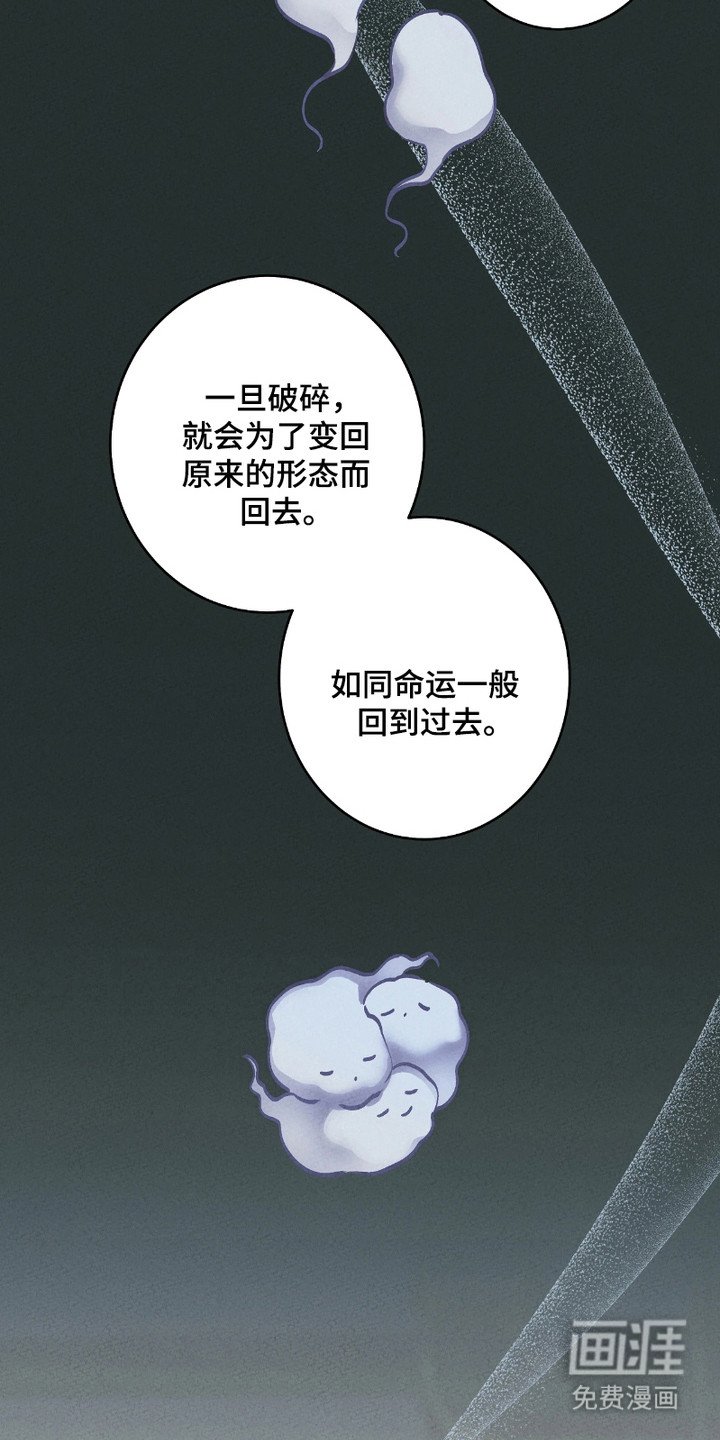 第14章：灵魂的形态