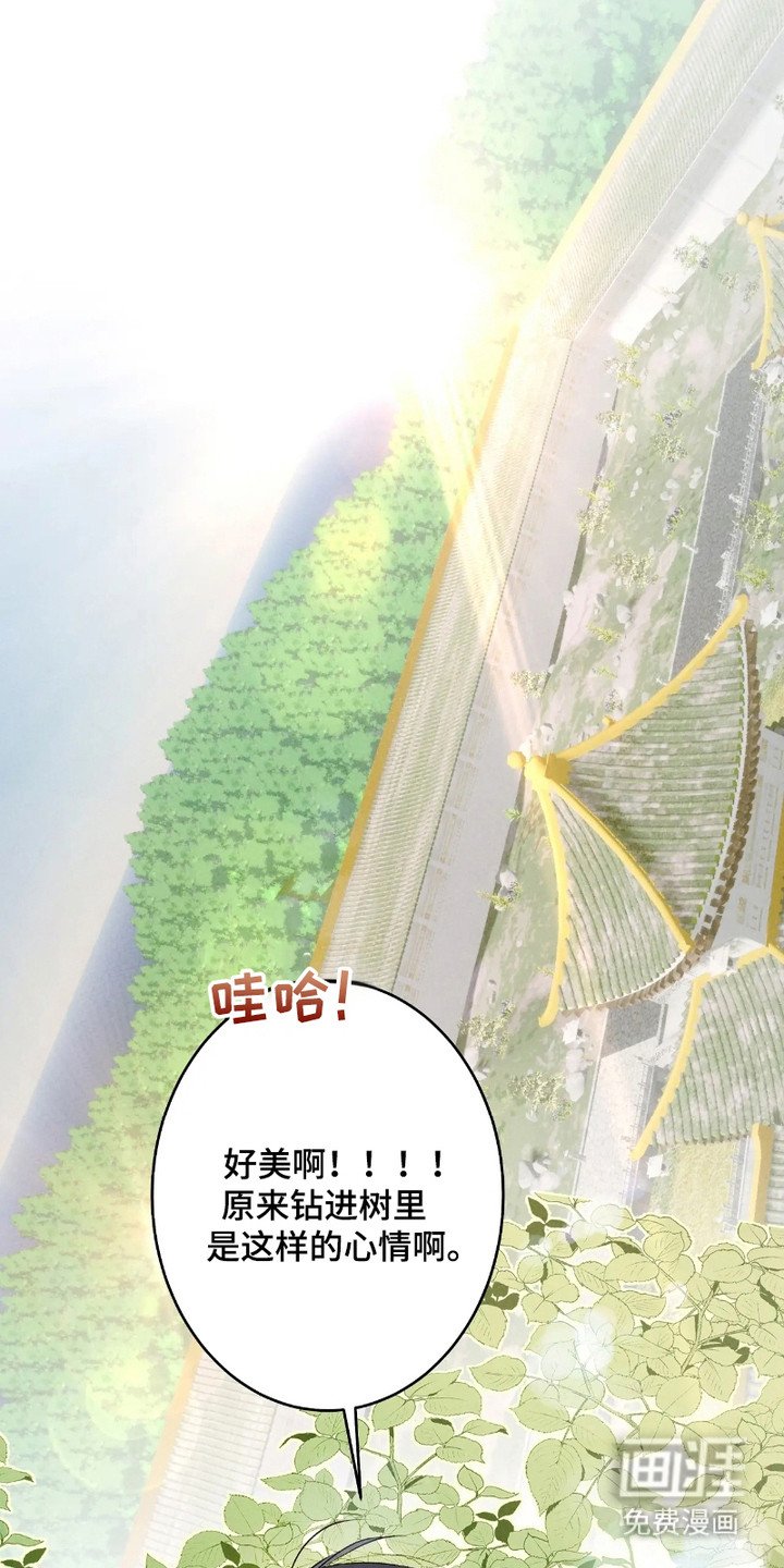 第2章：想做的事