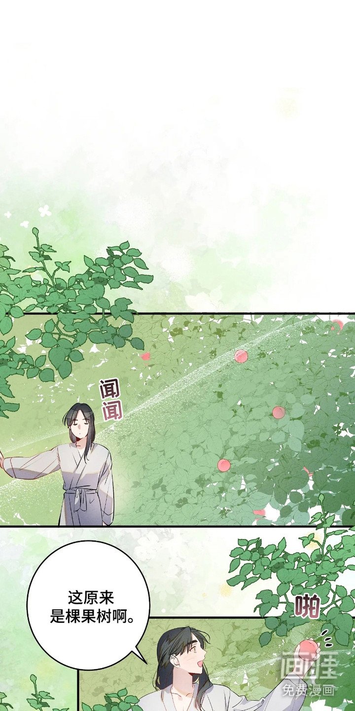 第3章：仙果