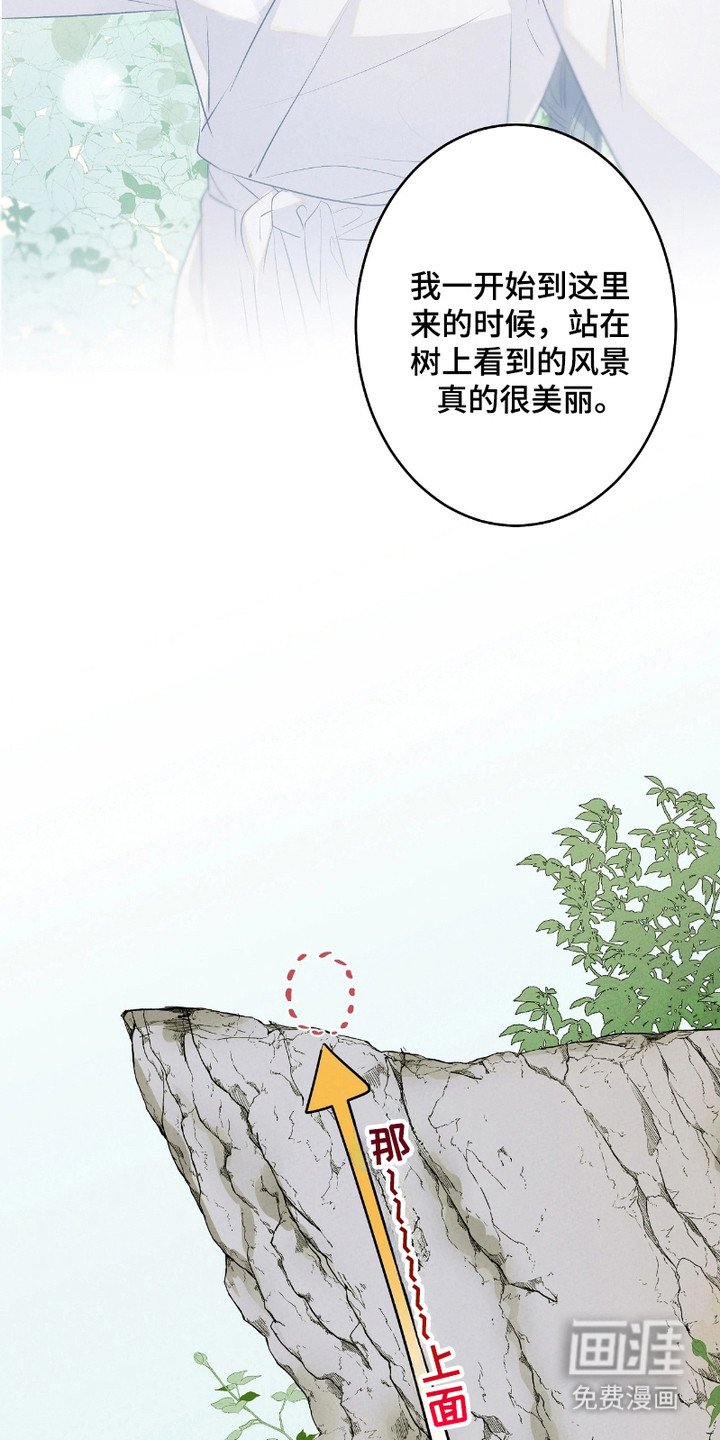 第9章：山崖