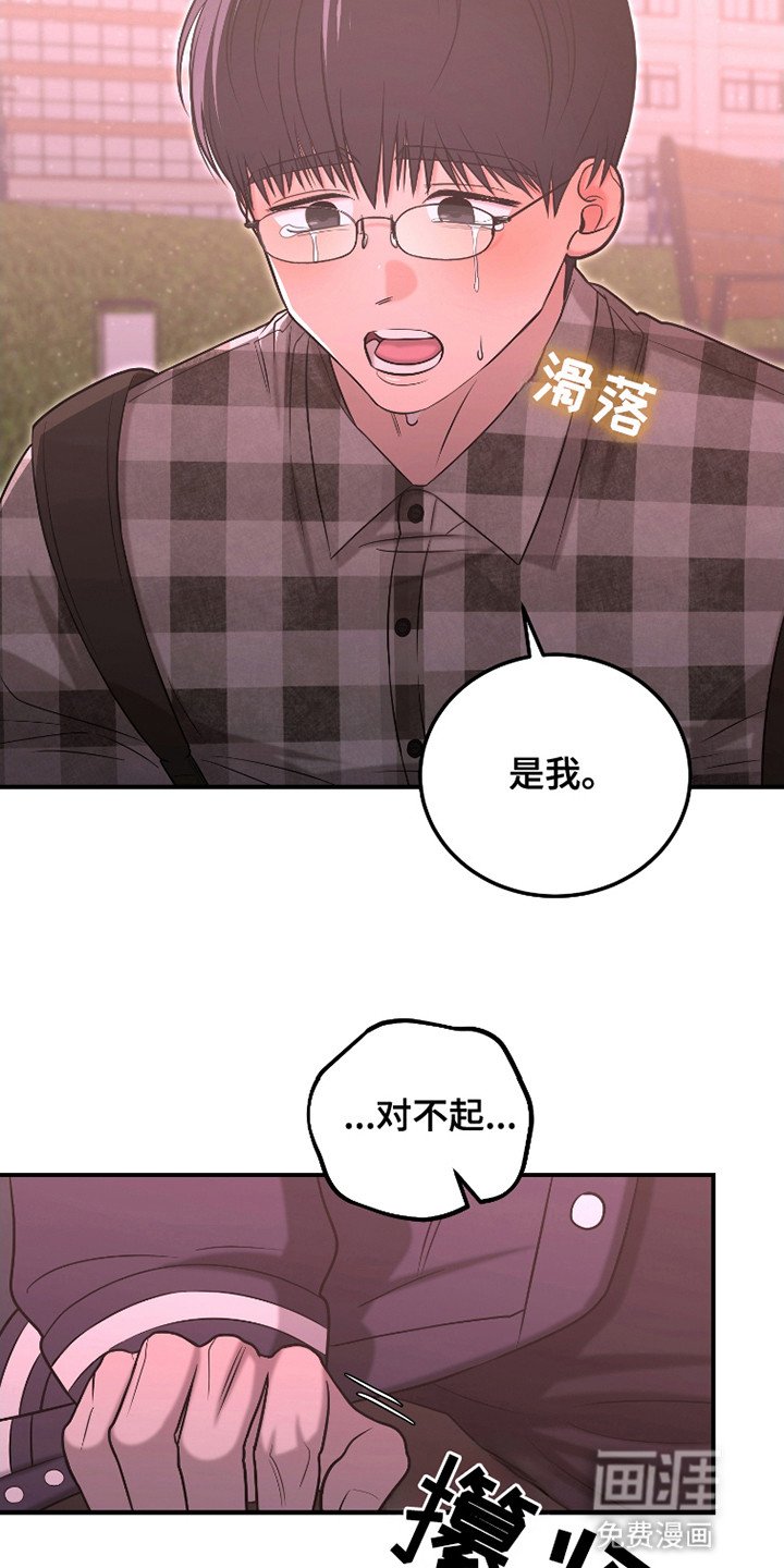 第11章：告白