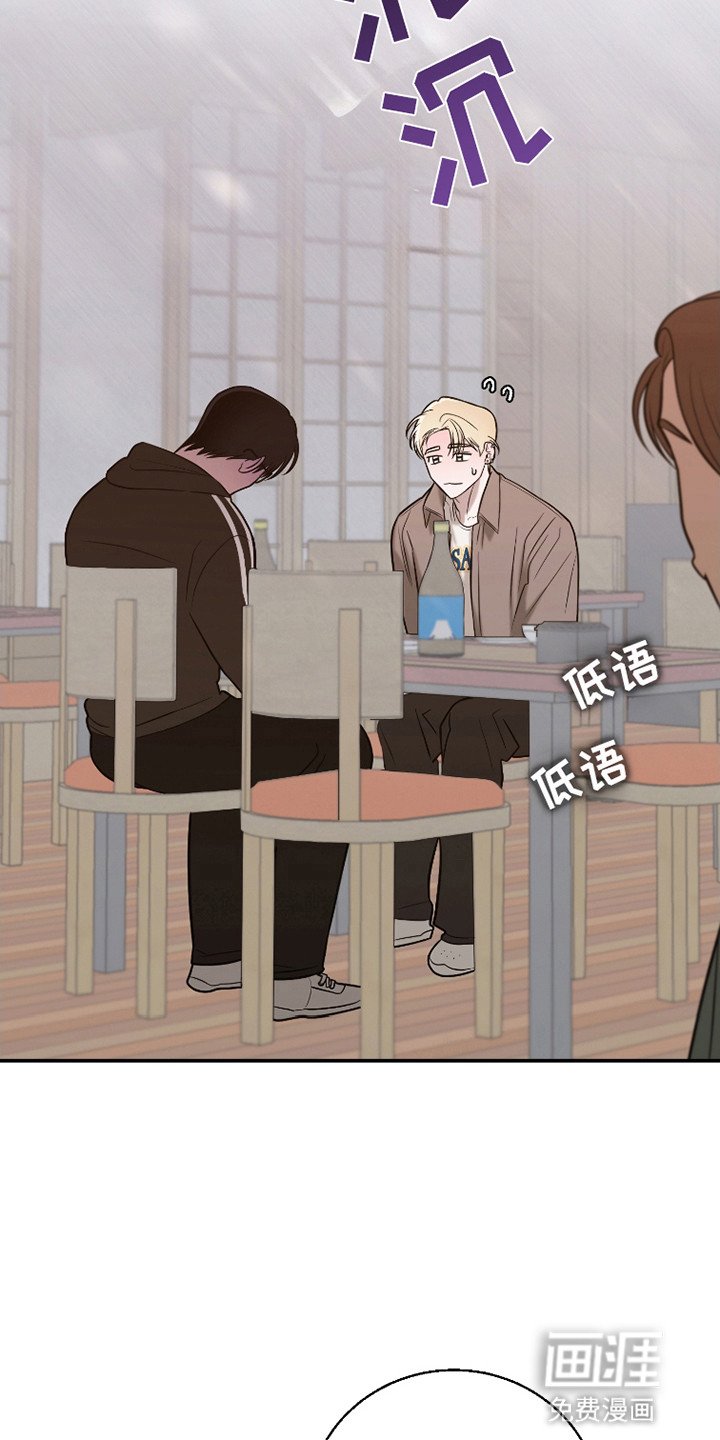 第6章：提议