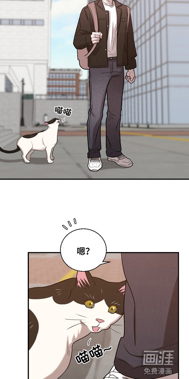 第9章：躲着他