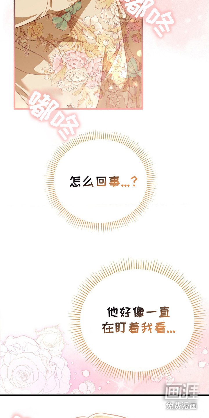 第6章：很微妙