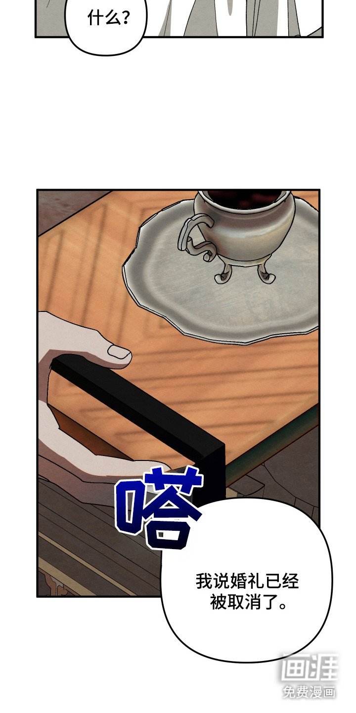 第13章：难以相信