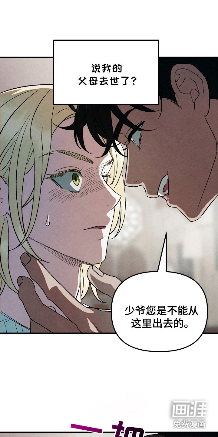 第13章：难以相信