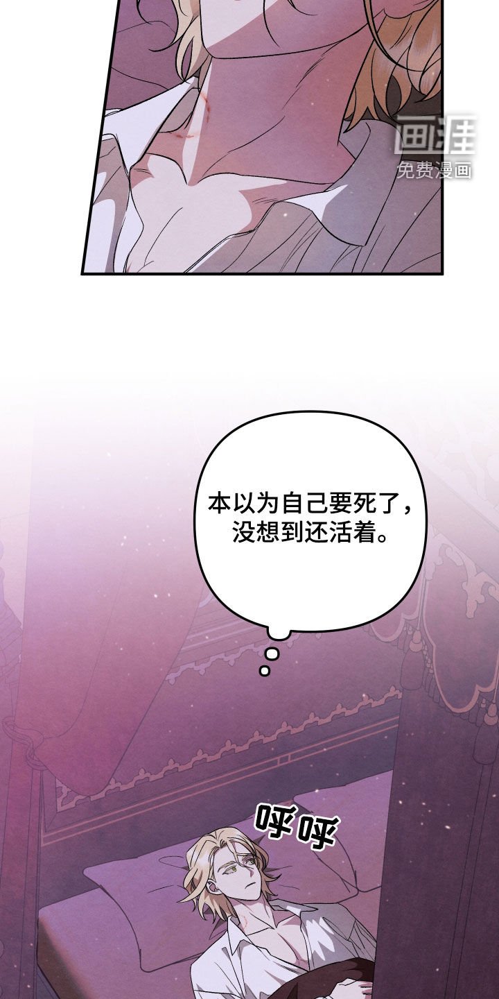 第15章：应该不是吧