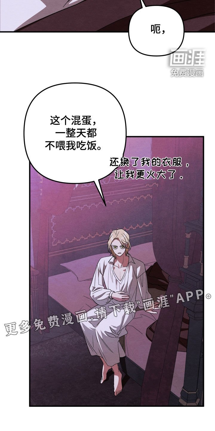 第15章：应该不是吧