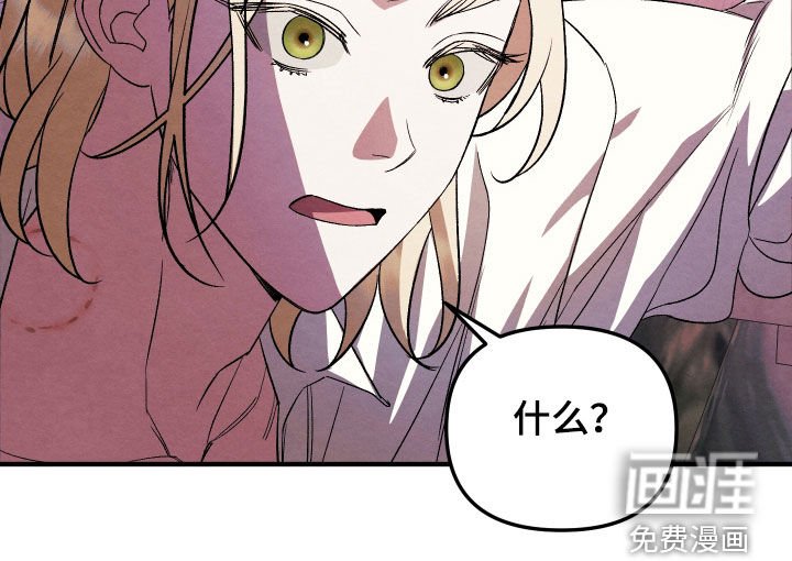 第15章：应该不是吧