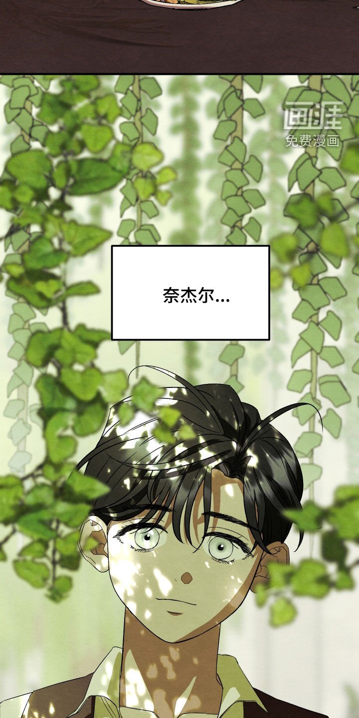 第17章：不需要你理解
