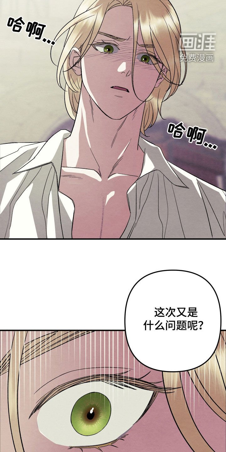 第17章：不需要你理解