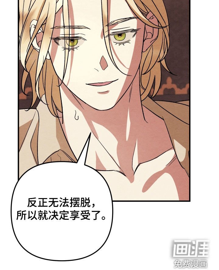 第19章：改变策略