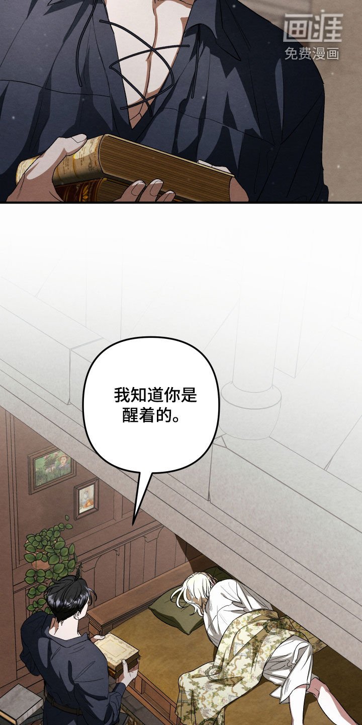 第29章：身份不同