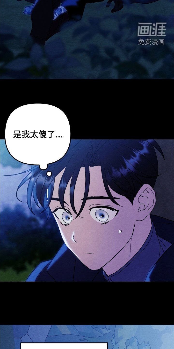 第33章：是我太傻了