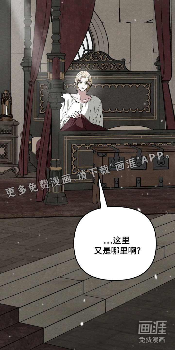 第5章：捡回来