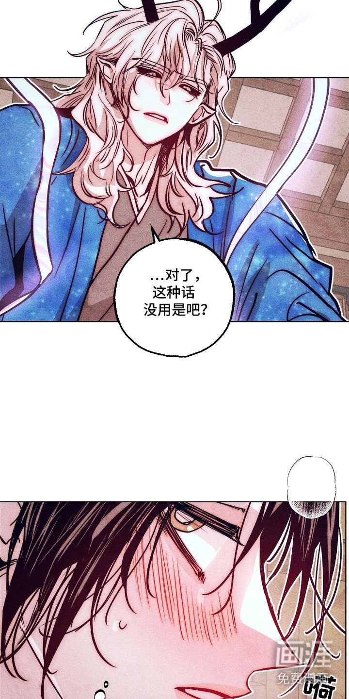 第11章：非常喜欢