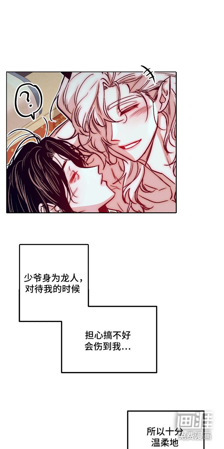 第12章：结为伴侣（完结）