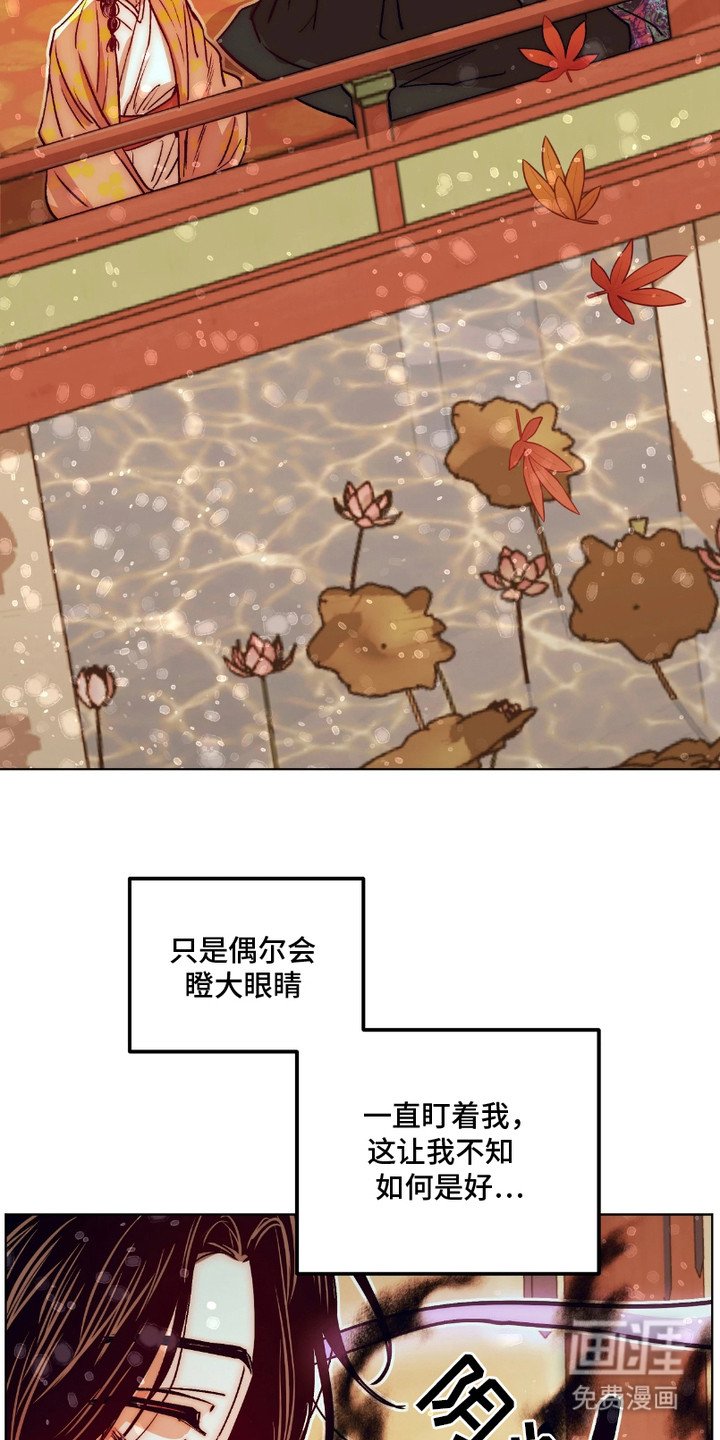 第12章：结为伴侣（完结）