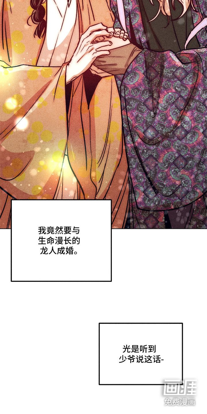 第12章：结为伴侣（完结）