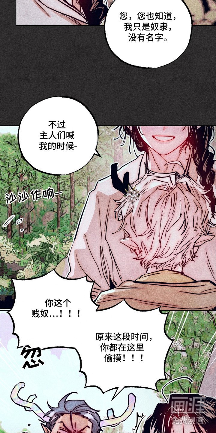 第5章： 独角