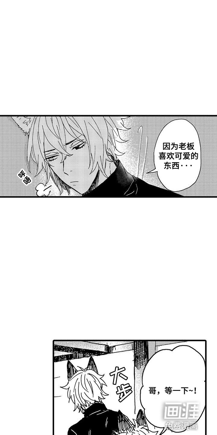第11章：独自练习