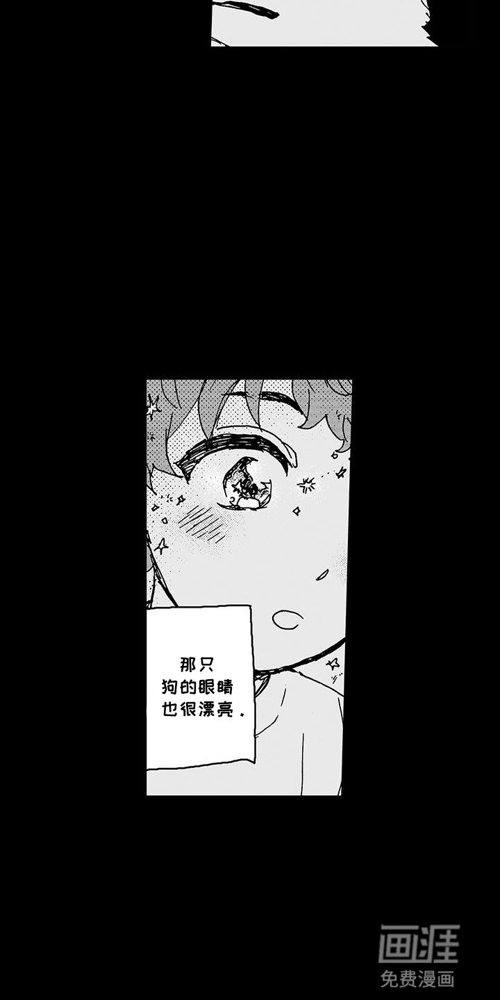 第13章：一直在关注他