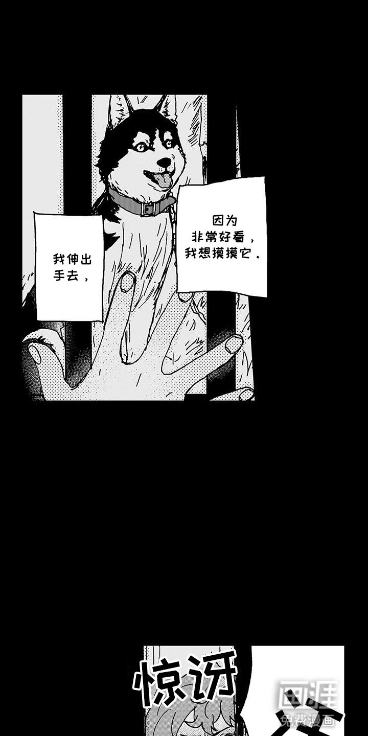 第13章：一直在关注他