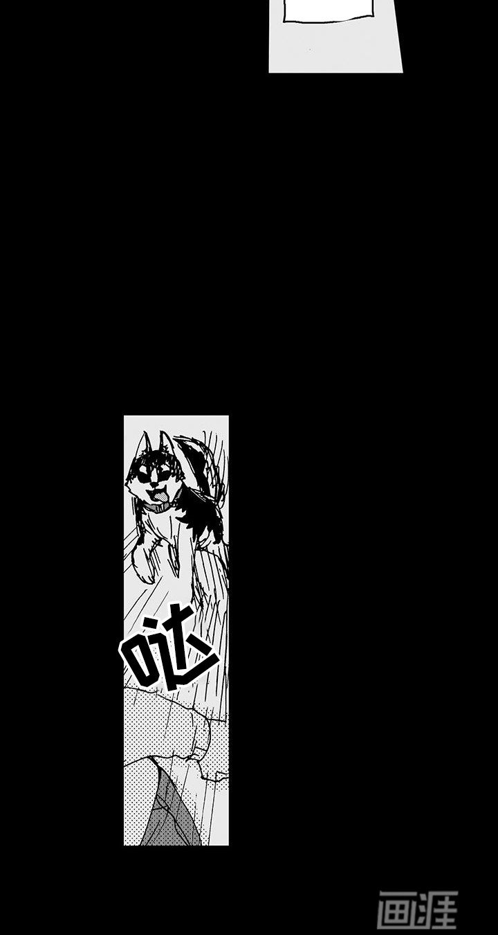 第13章：一直在关注他
