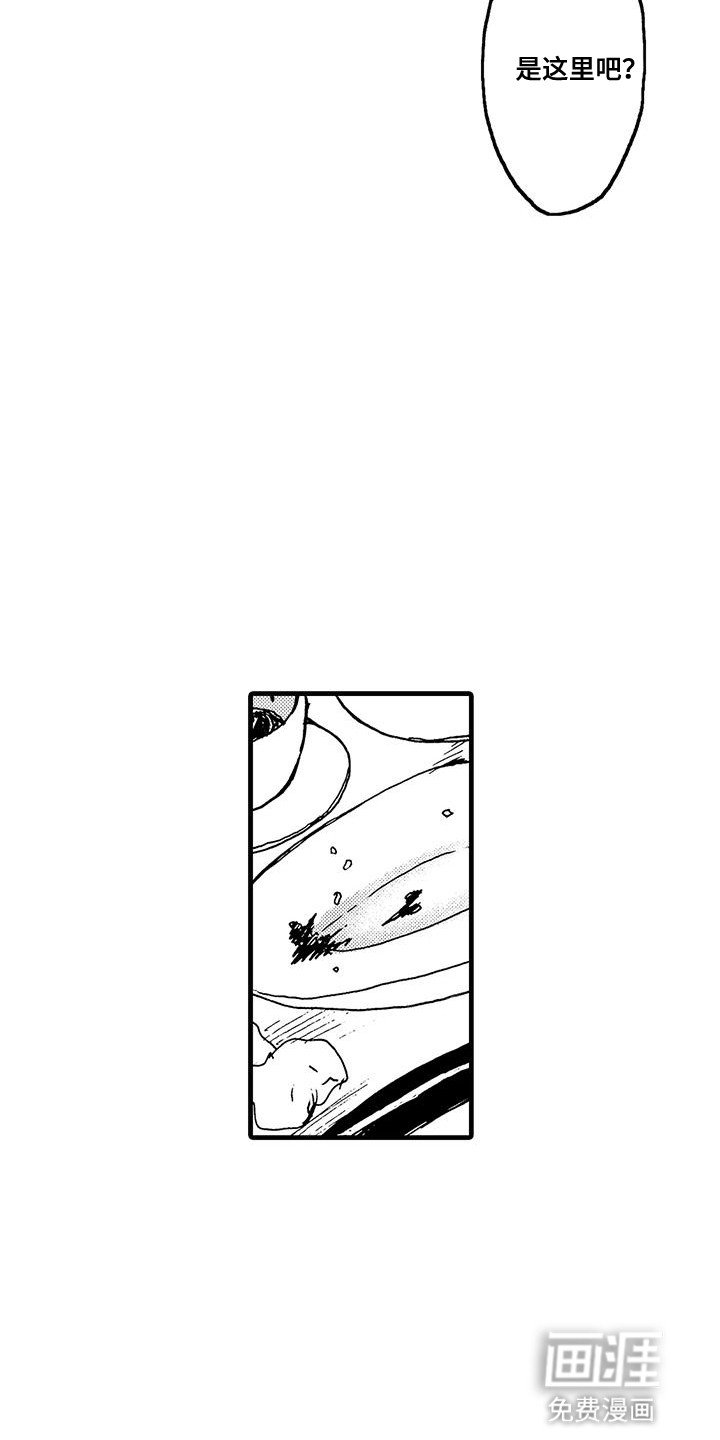 第5章：摔跤