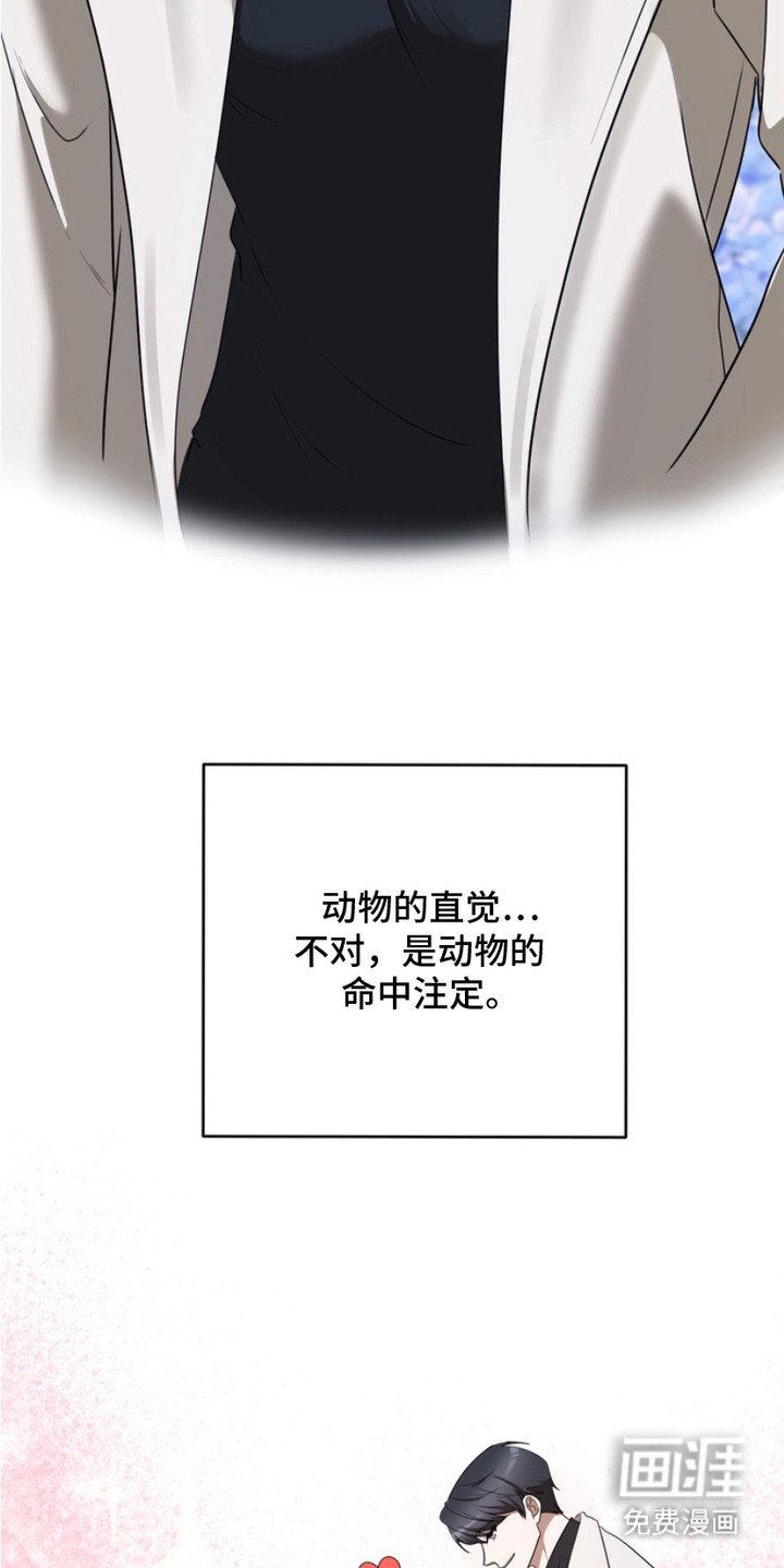 第1章：兽人