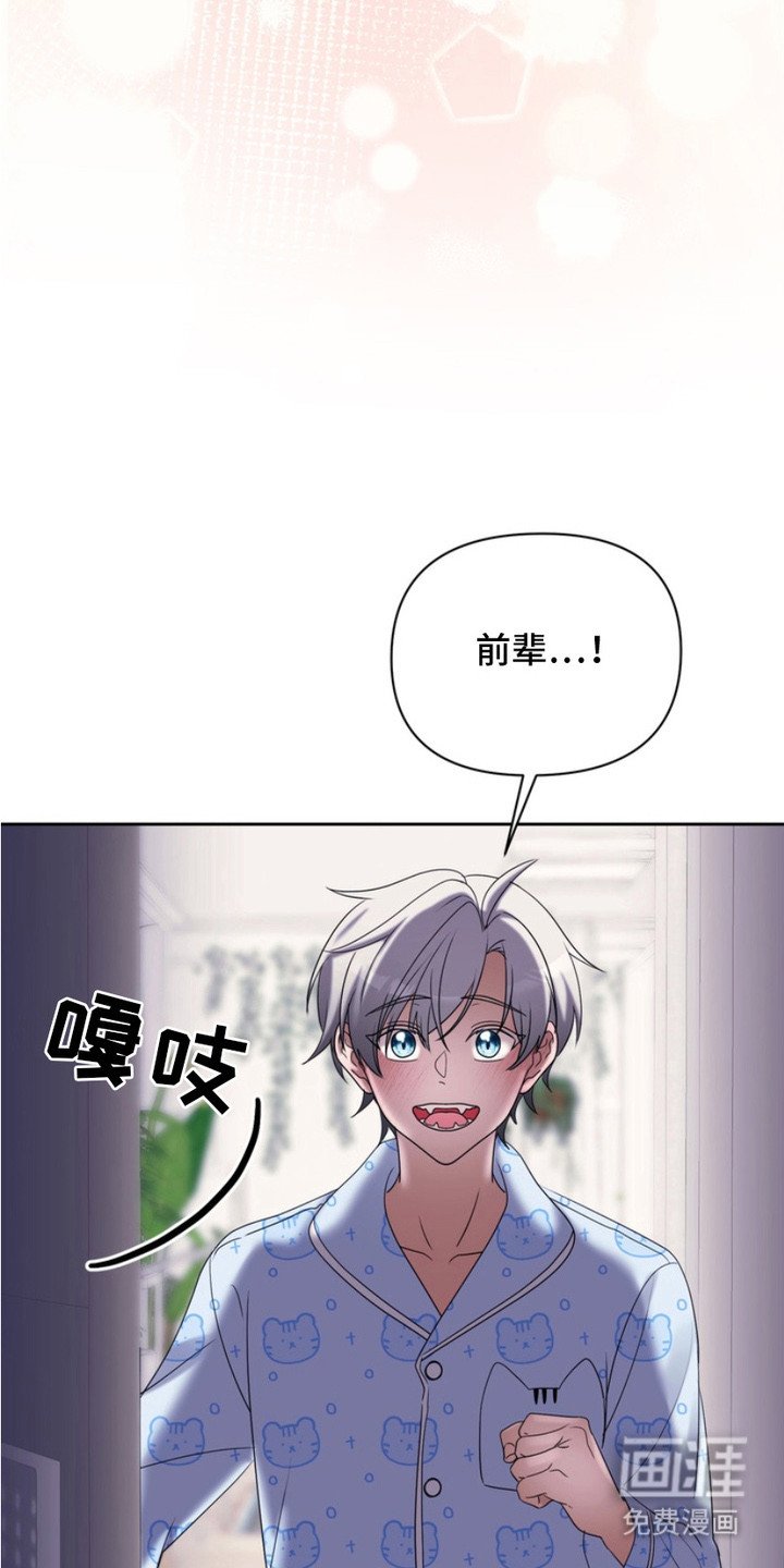 第11章：解释