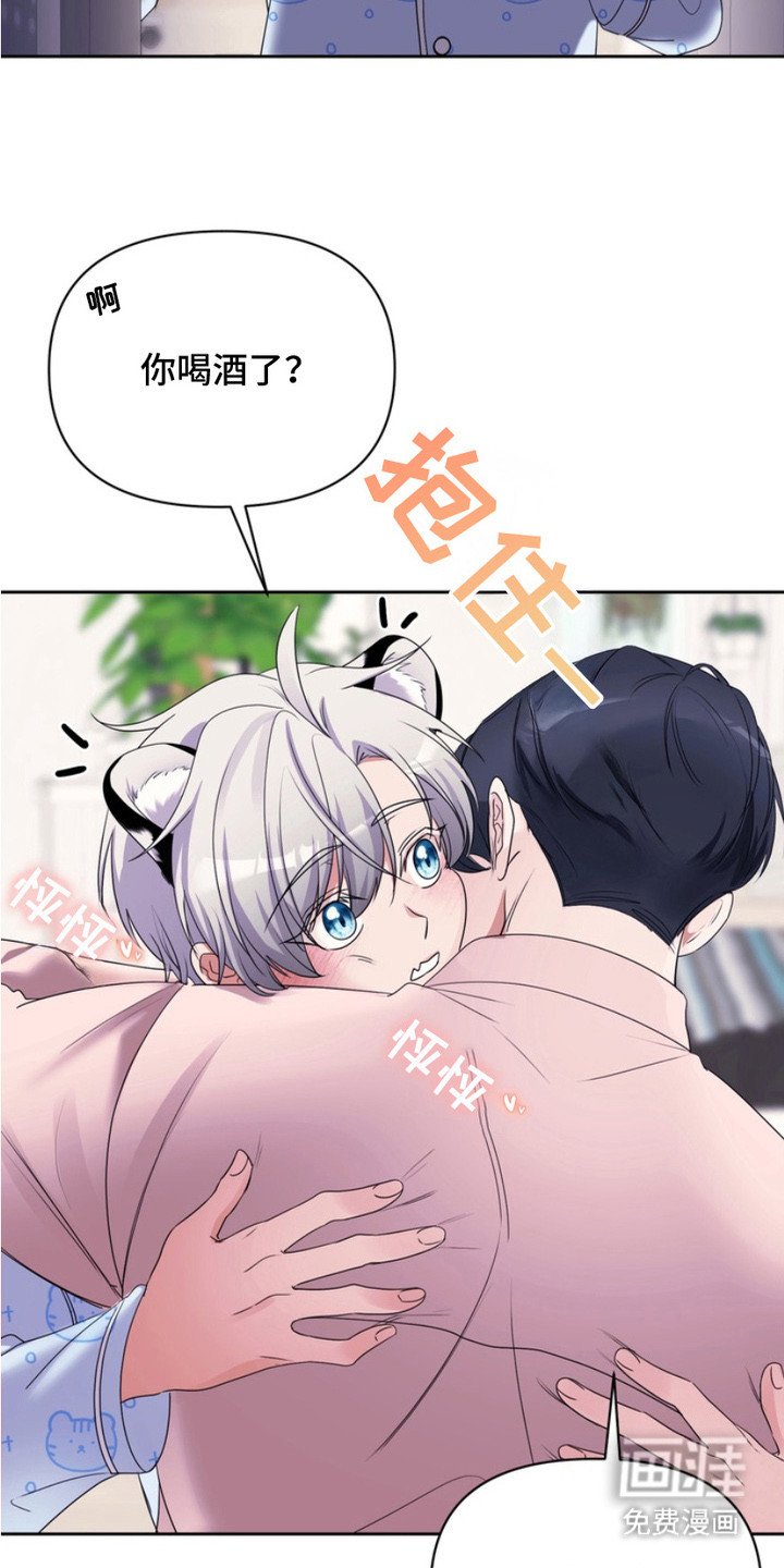 第11章：解释
