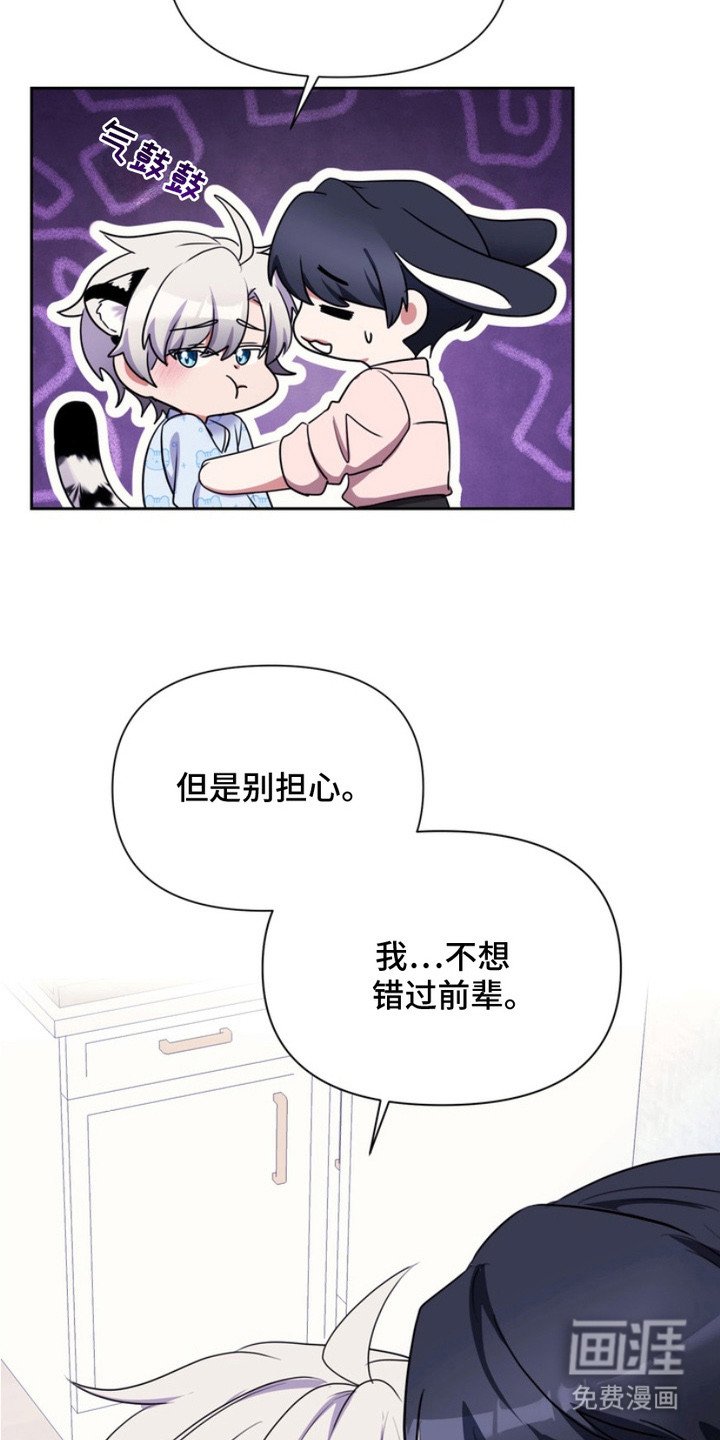 第12章：表白