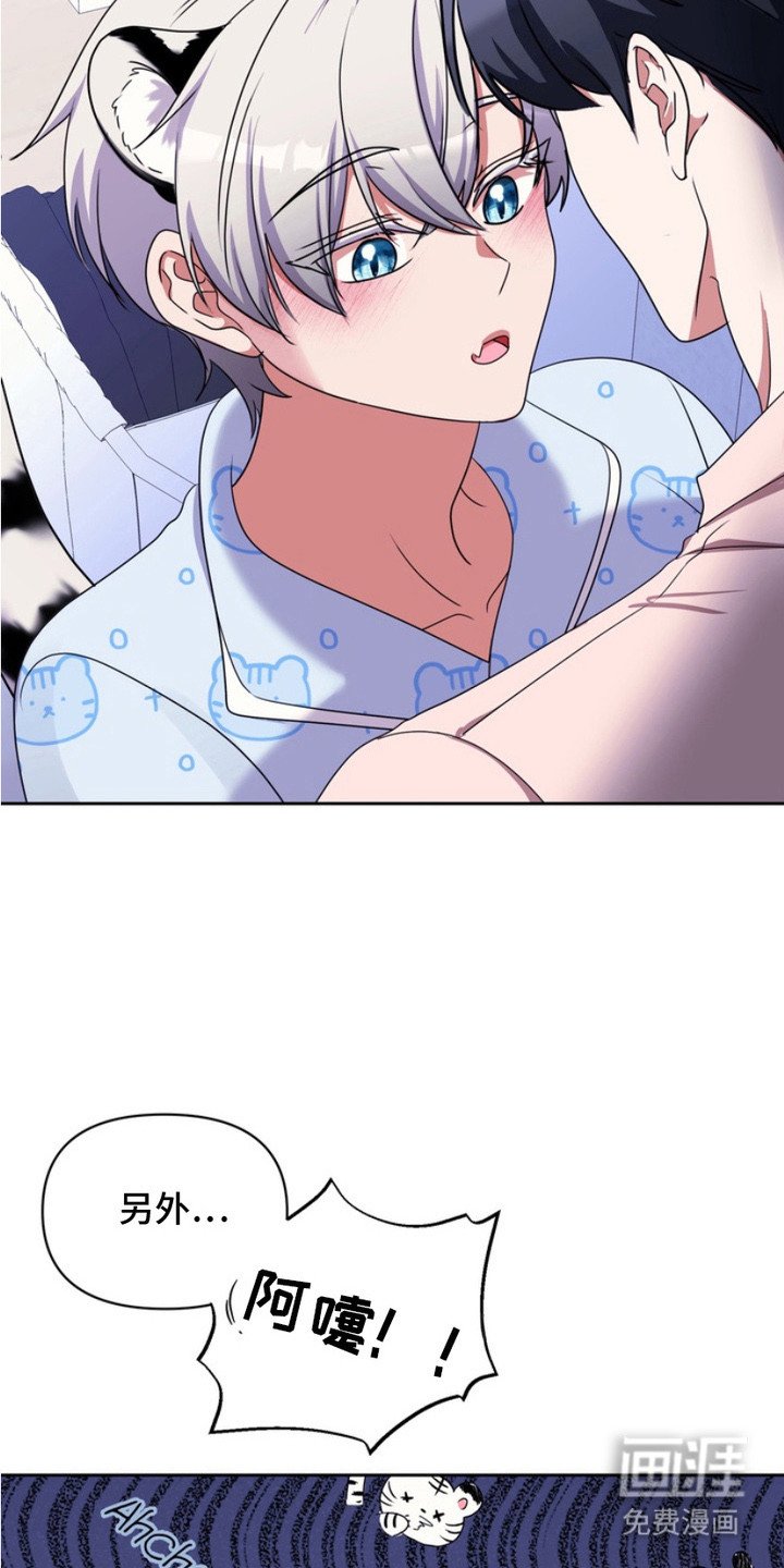 第12章：表白