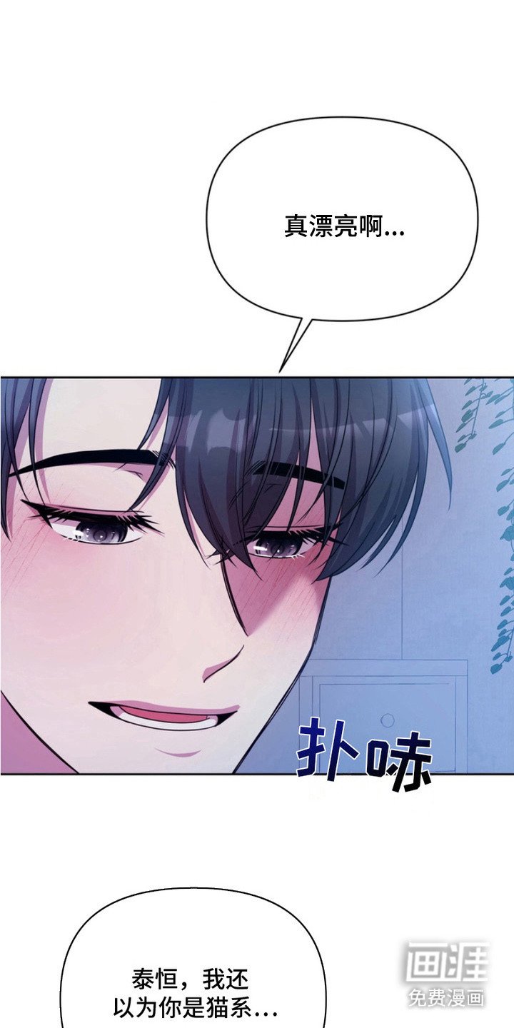 第12章：表白