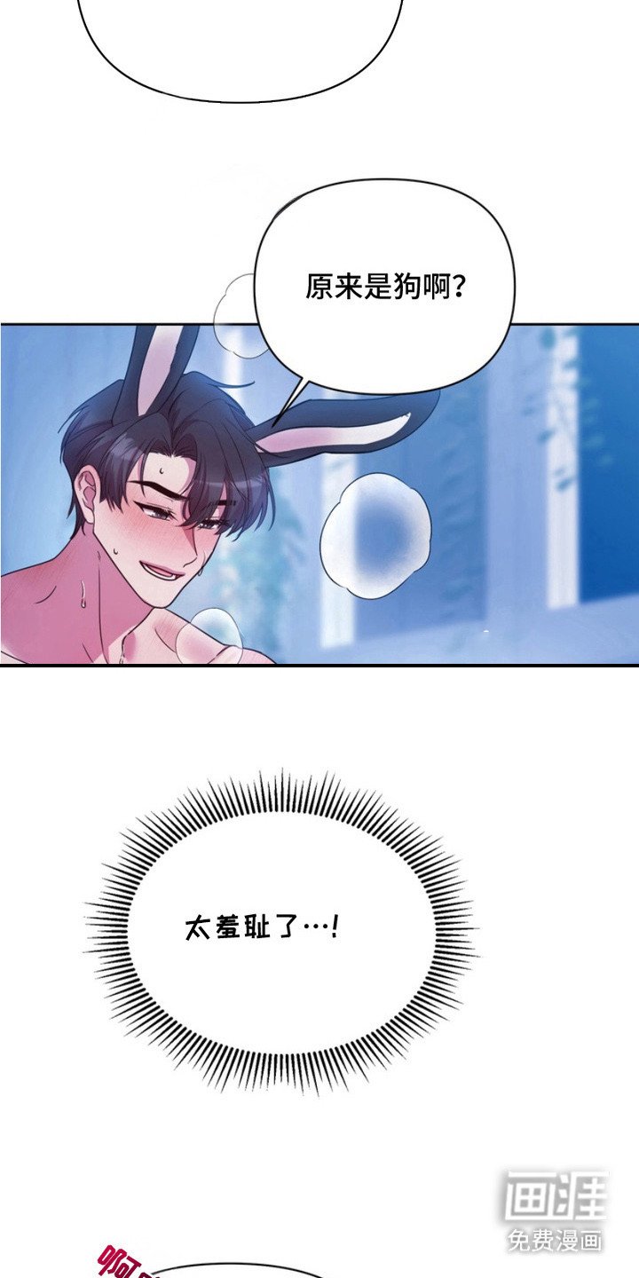 第12章：表白