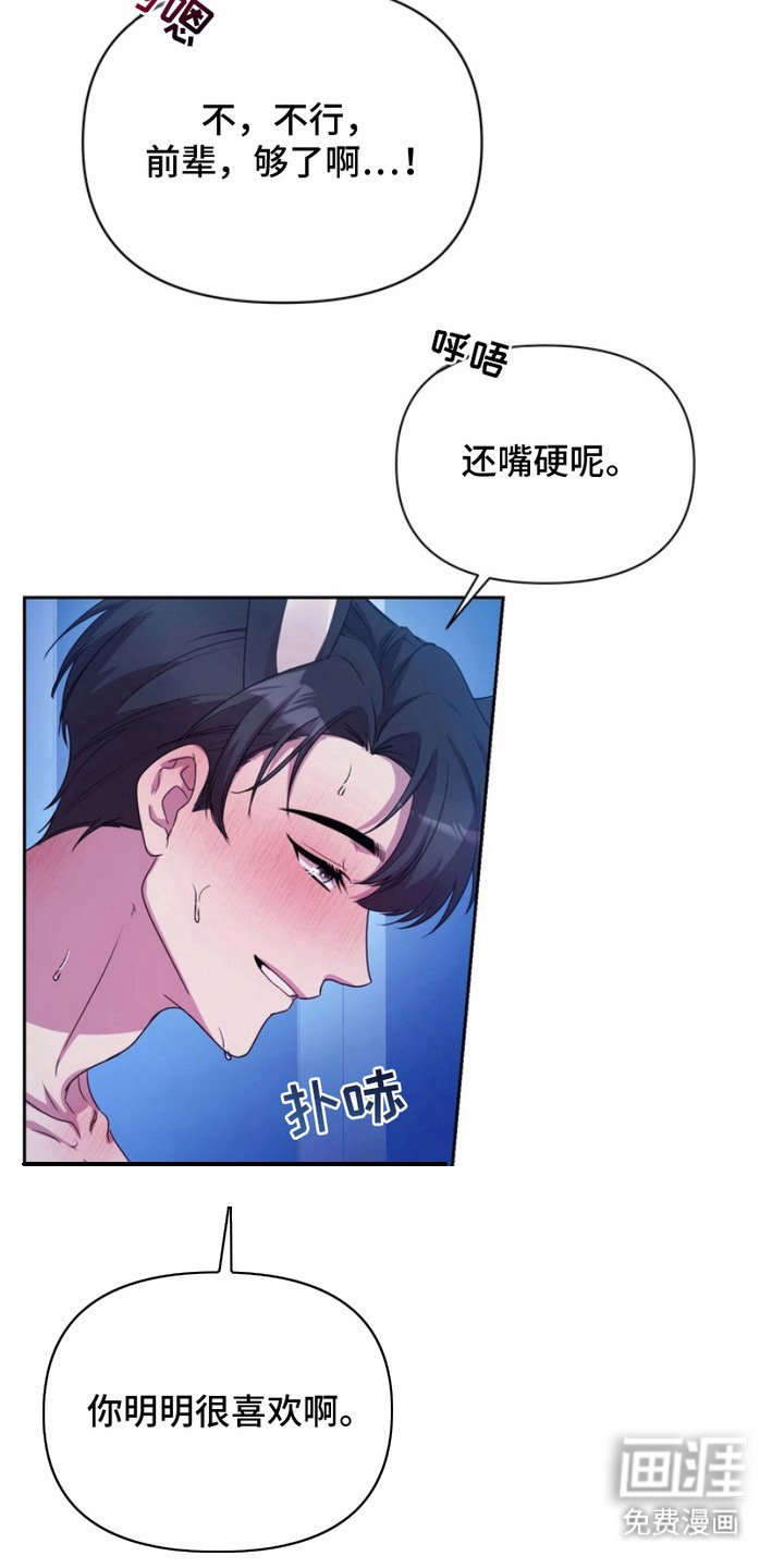 第12章：表白