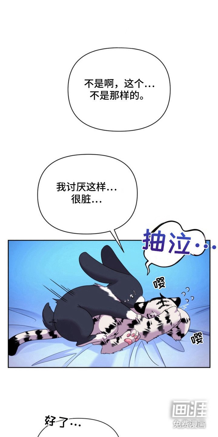 第12章：表白