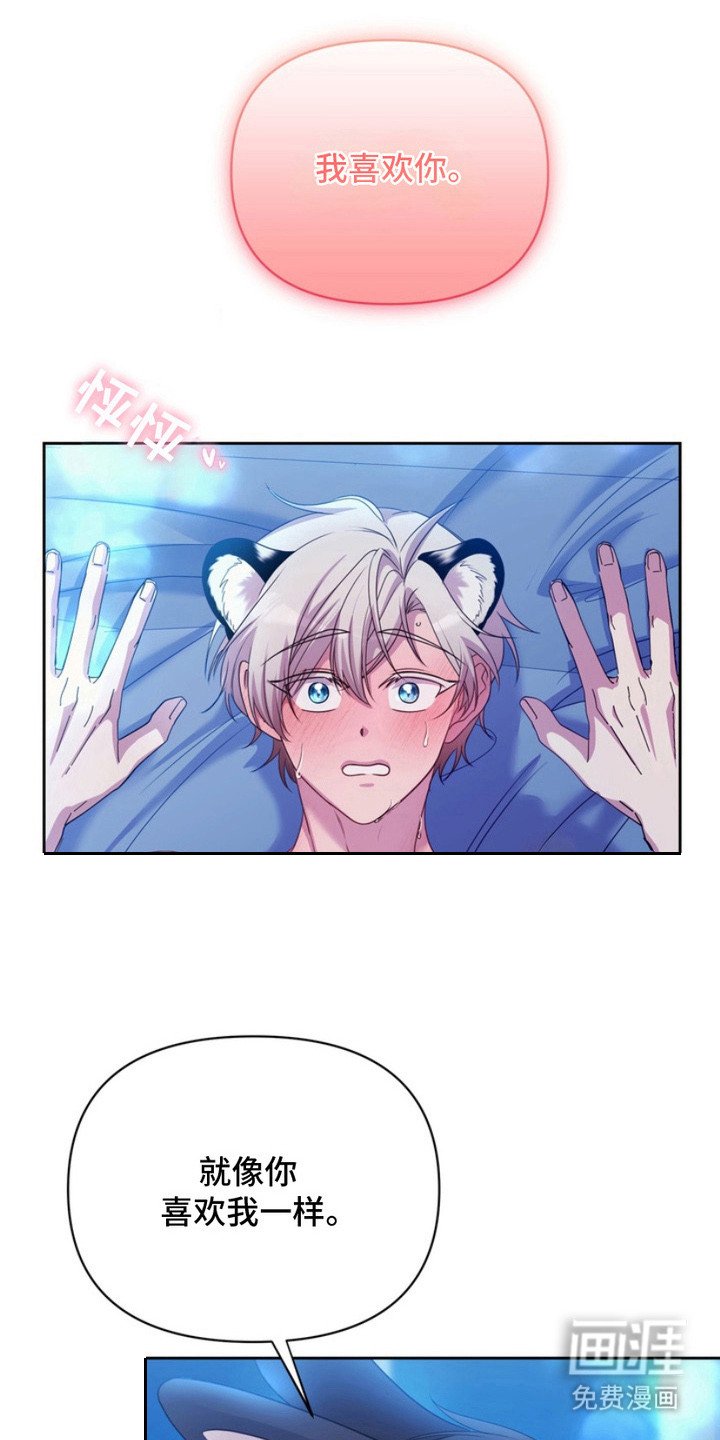 第12章：表白