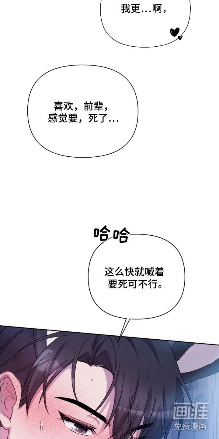 第12章：表白