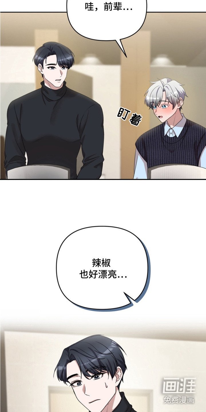 第3章：盯着看