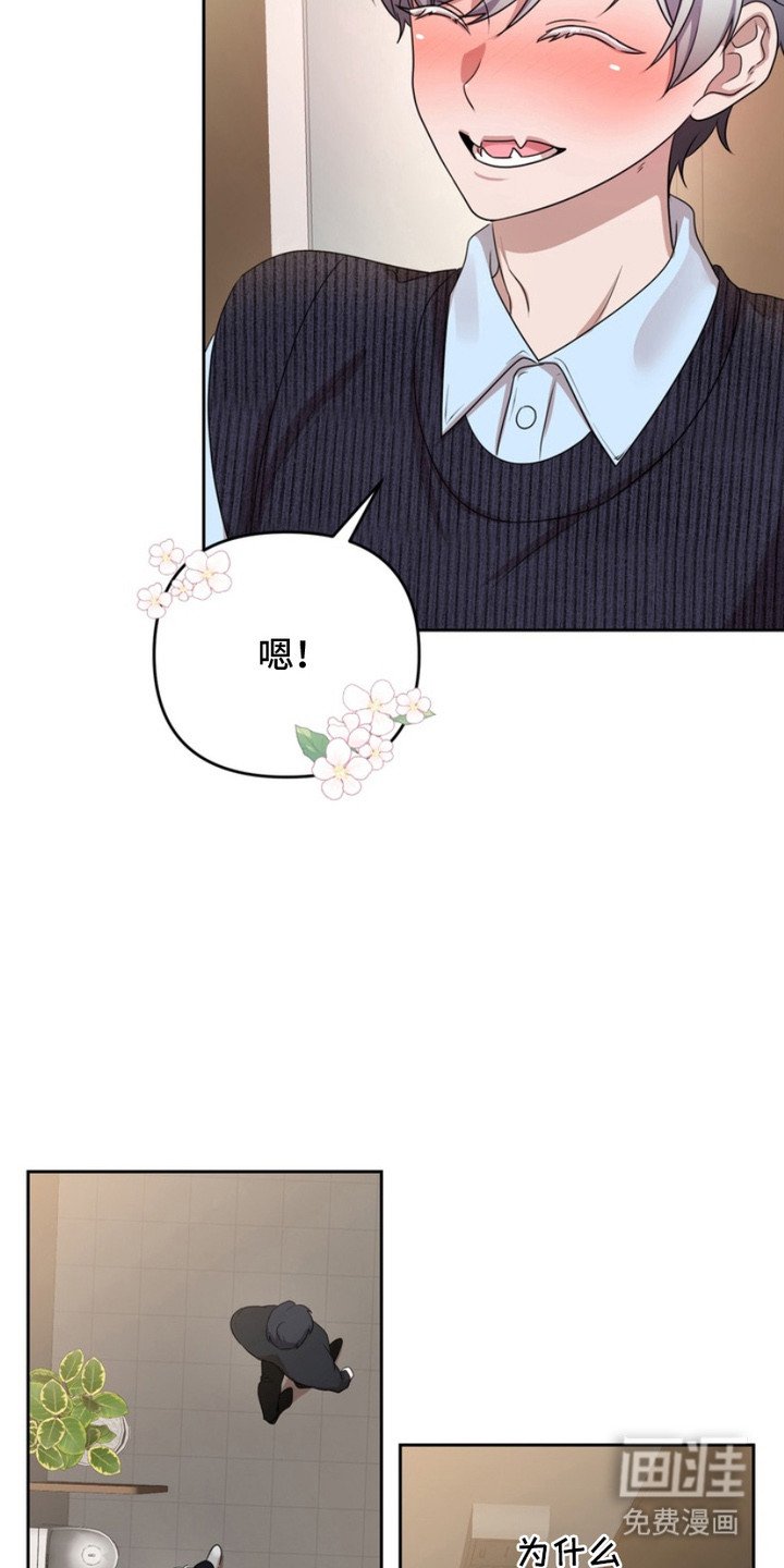 第3章：盯着看