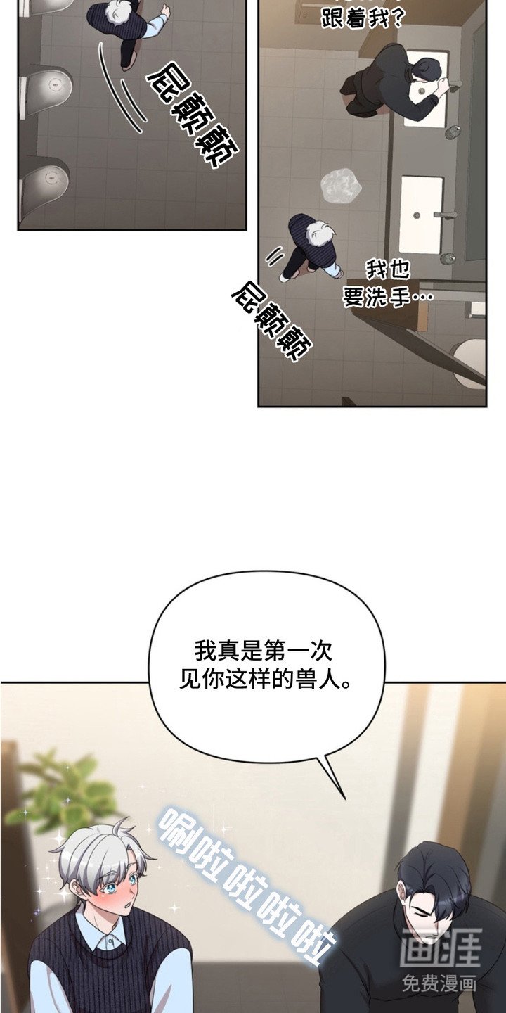 第3章：盯着看