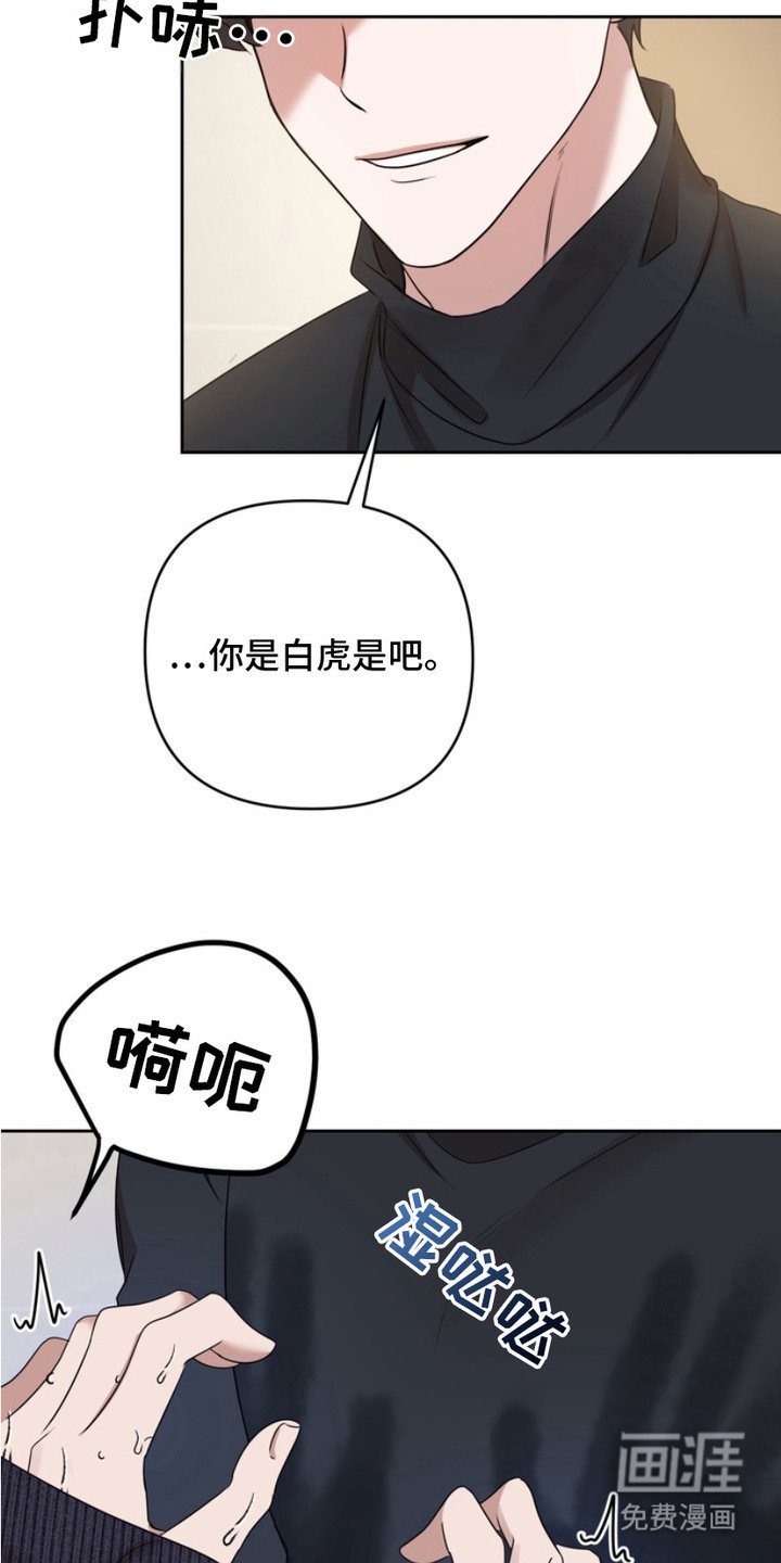 第3章：盯着看